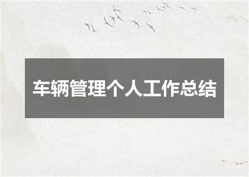 车辆管理个人工作总结