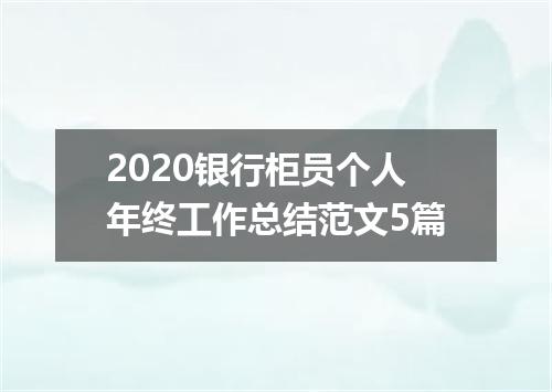 2020银行柜员个人年终工作总结范文5篇