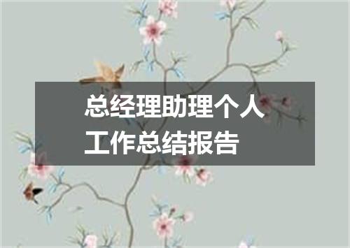 总经理助理个人工作总结报告