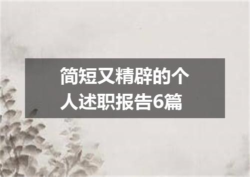 简短又精辟的个人述职报告6篇