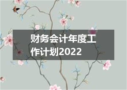 财务会计年度工作计划2022