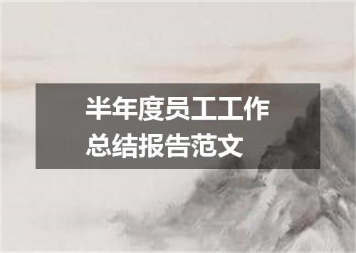 半年度员工工作总结报告范文