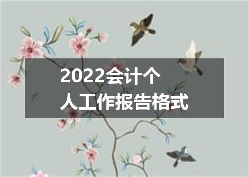 2022会计个人工作报告格式