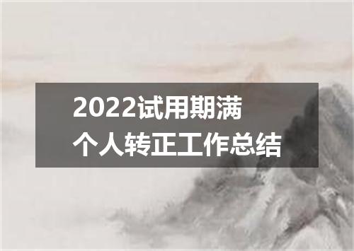 2022试用期满个人转正工作总结