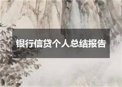 银行信贷个人总结报告