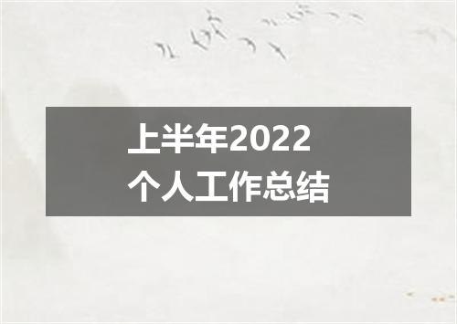上半年2022个人工作总结