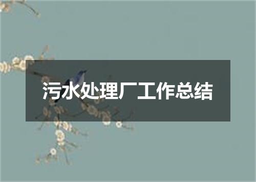 污水处理厂工作总结
