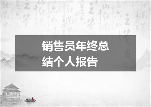 销售员年终总结个人报告