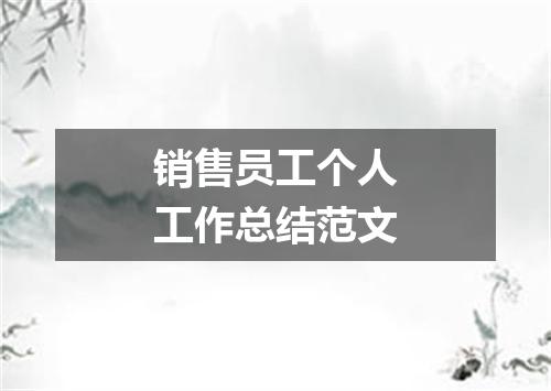 销售员工个人工作总结范文