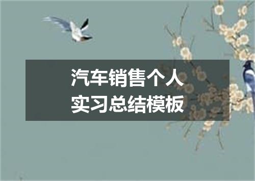 汽车销售个人实习总结模板