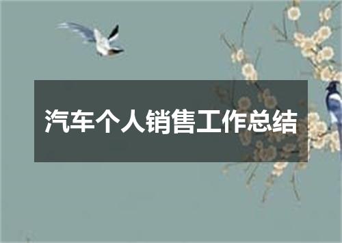 汽车个人销售工作总结