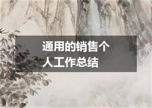 通用的销售个人工作总结