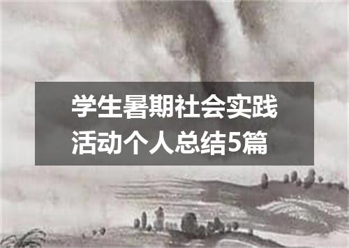 学生暑期社会实践活动个人总结5篇