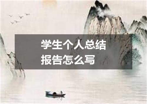 学生个人总结报告怎么写