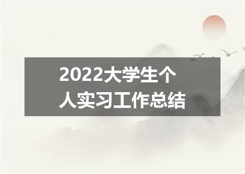 2022大学生个人实习工作总结