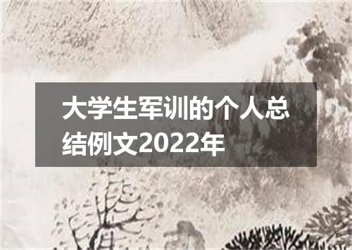 大学生军训的个人总结例文2022年