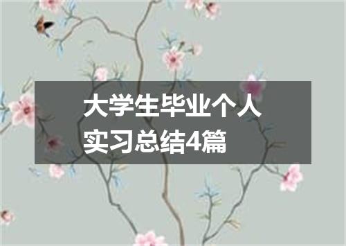 大学生毕业个人实习总结4篇