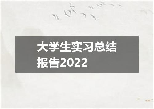 大学生实习总结报告2022