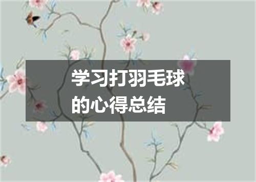 学习打羽毛球的心得总结