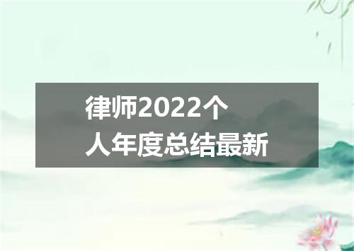 律师2022个人年度总结最新