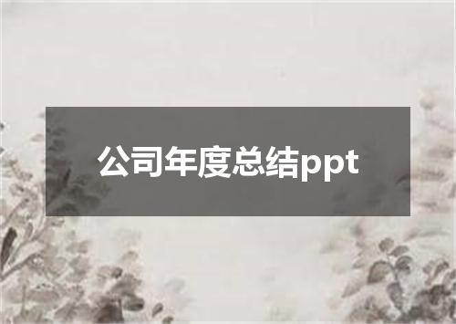 公司年度总结ppt