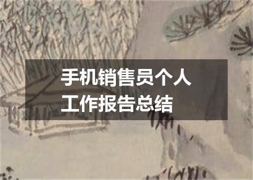 手机销售员个人工作报告总结