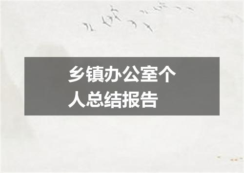 乡镇办公室个人总结报告