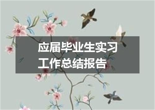 应届毕业生实习工作总结报告