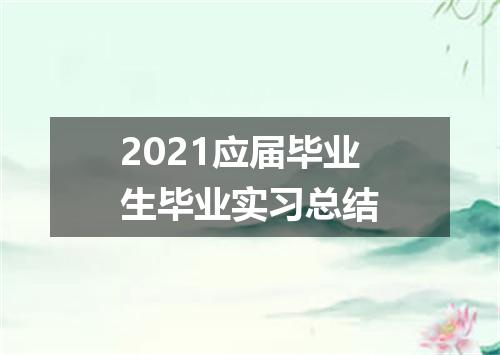 2021应届毕业生毕业实习总结