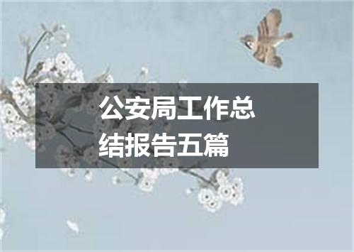 公安局工作总结报告五篇