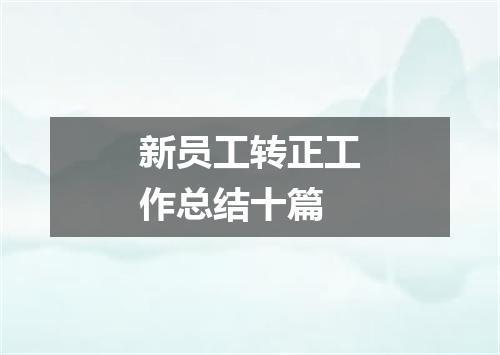 新员工转正工作总结十篇