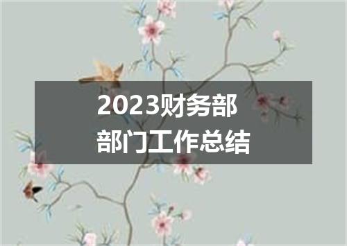 2023财务部部门工作总结