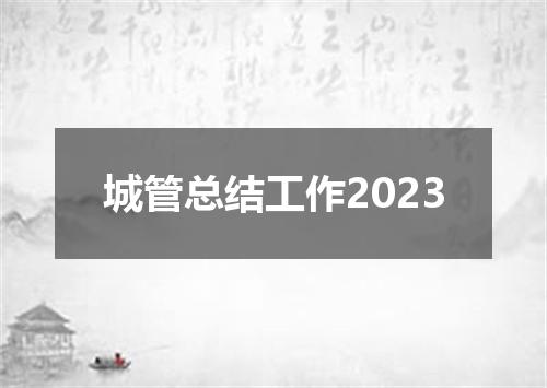城管总结工作2023