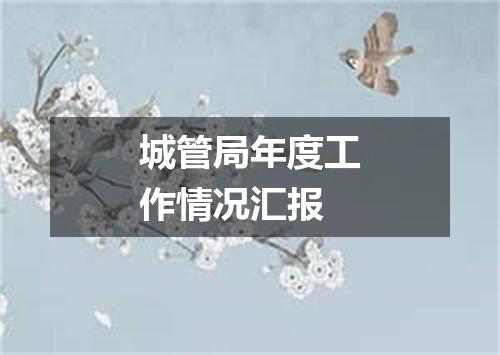 城管局年度工作情况汇报