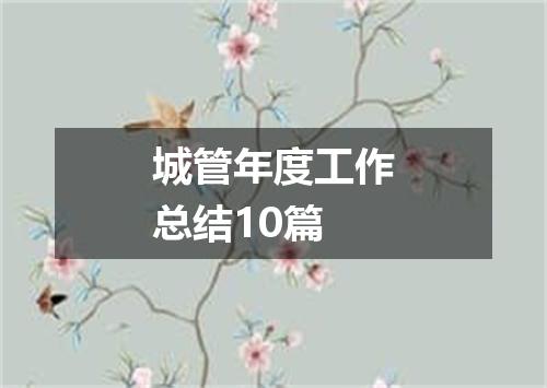 城管年度工作总结10篇