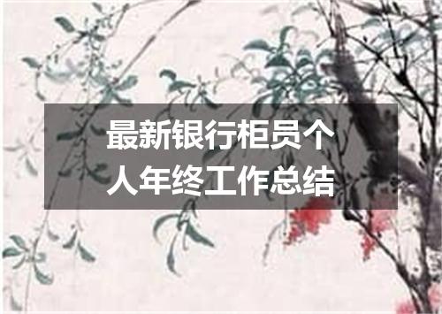 最新银行柜员个人年终工作总结