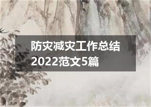 防灾减灾工作总结2022范文5篇