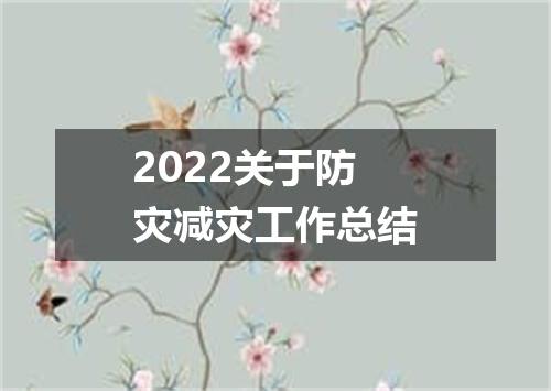 2022关于防灾减灾工作总结