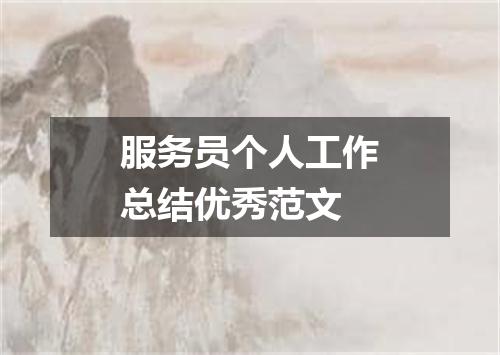 服务员个人工作总结优秀范文