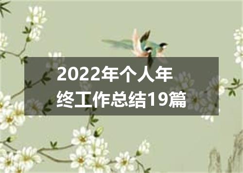 2022年个人年终工作总结19篇