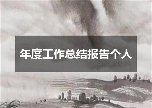 年度工作总结报告个人