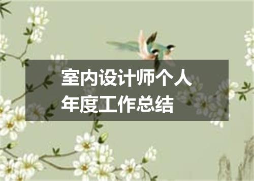 室内设计师个人年度工作总结