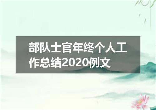 部队士官年终个人工作总结2020例文