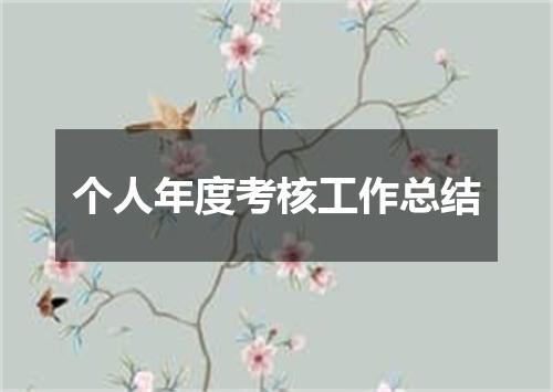 个人年度考核工作总结