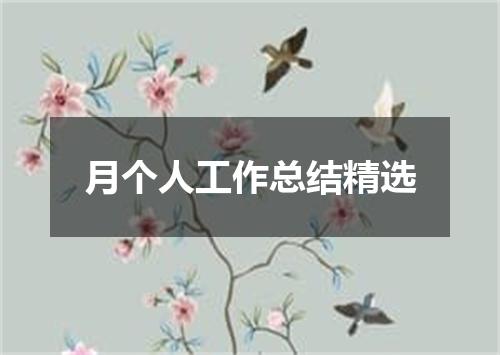月个人工作总结精选