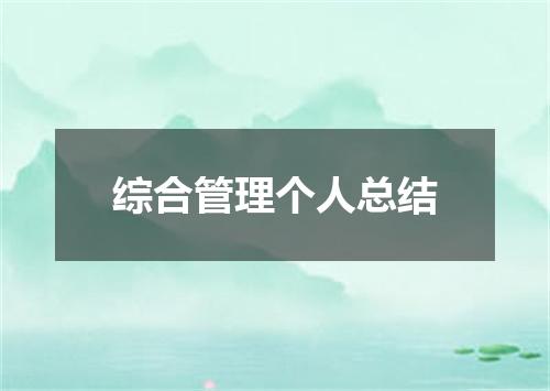 综合管理个人总结