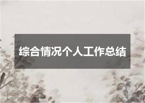 综合情况个人工作总结