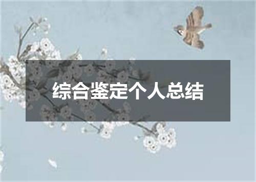 综合鉴定个人总结
