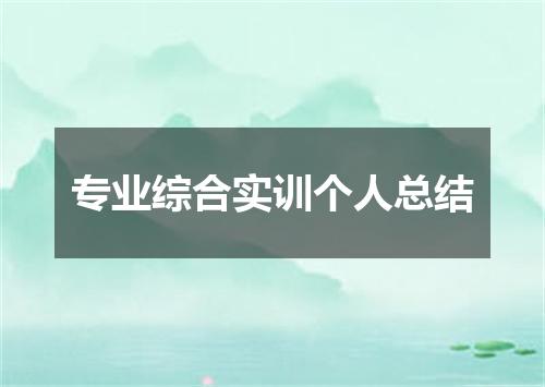 专业综合实训个人总结
