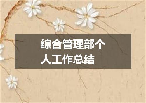 综合管理部个人工作总结